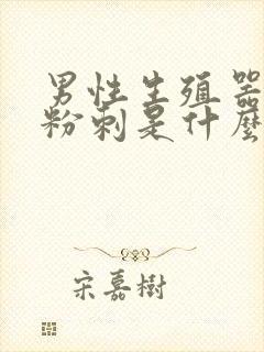 男性生殖器长小粉刺是什么原因封面