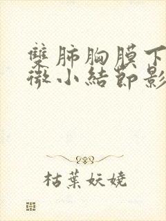 双肺胸膜下多发微小结节影