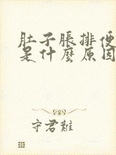 肚子胀排便困难是什么原因封面