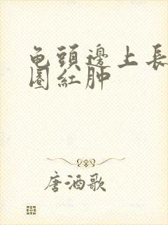 龟头边上长了一圈红肿