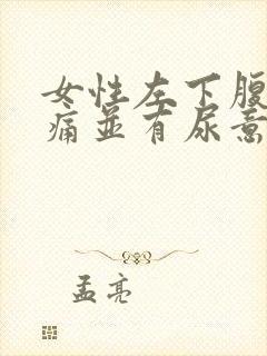 女性左下腹部疼痛并有尿意