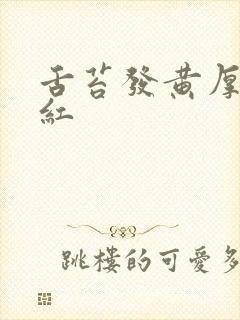 舌苔发黄厚舌尖红