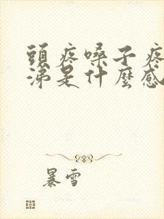 头疼嗓子疼黄鼻涕是什么感冒