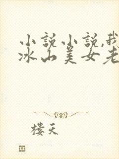 小说小说,我的冰山美女老婆