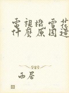 电视机雪花屏是什么原因造成的封面