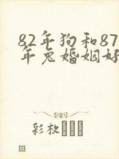 82年狗和87年兔婚姻好不好封面