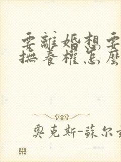 要离婚想要孩子抚养权怎么办