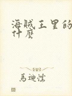 海贼王里的船叫什么