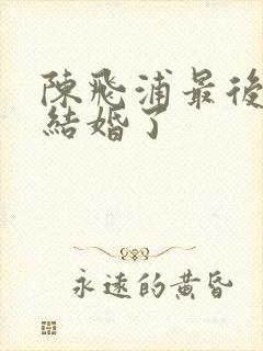 陈飞浦最后和谁结婚了封面
