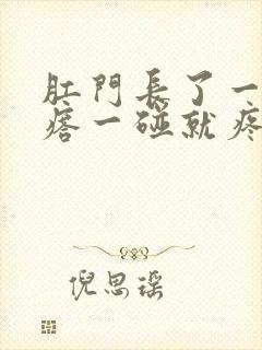 肛门长了一个疙瘩一碰就疼