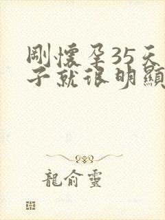 刚怀孕35天肚子就很明显