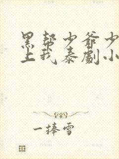 黑帮少爷少爷爱上我泰剧小说