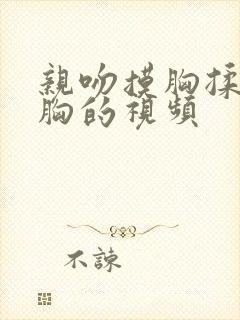 亲吻摸胸揉胸揉胸的视频