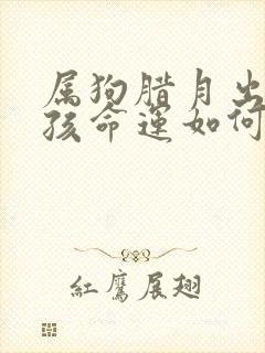 属狗腊月出生男孩命运如何