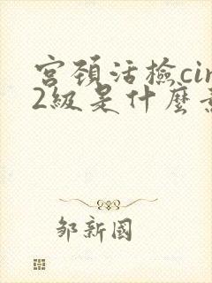 宫颈活检cin2级是什么意思