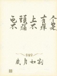 龟头上有个红点不痛不痒是怎么回事