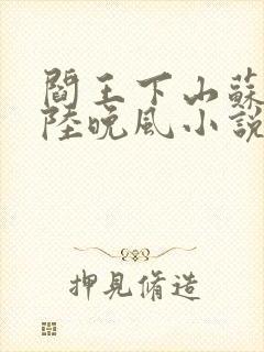 阎王下山苏文,陆晚风小说