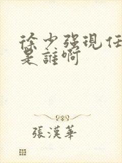 徐少强现任妻子是谁啊