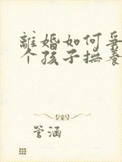 离婚如何争取两个孩子抚养权