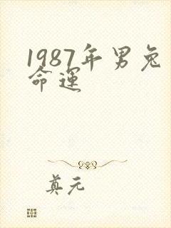1987年男兔命运封面
