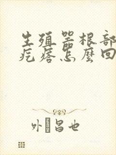 生殖器根部起个疙瘩怎么回事啊