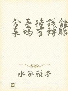 分手后钱能要回来吗有转账记录