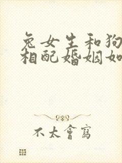 兔女生和狗男生相配婚姻如何