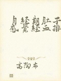 月经期肚子胀痛感觉经血排不出来