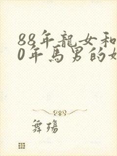 88年龙女和90年马男的姻缘好吗封面