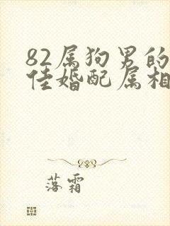 82属狗男的最佳婚配属相封面