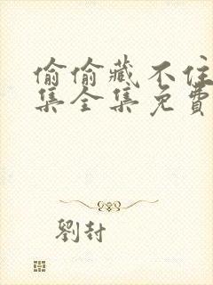 偷偷藏不住40集全集免费观看