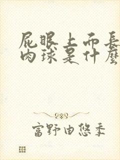 屁眼上面长了个肉球是什么