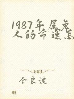1987年属兔人的命运怎么样