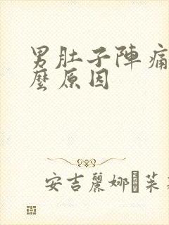 男肚子阵痛是什么原因