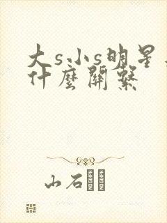 大s小s明星是什么关系封面