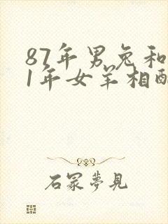 87年男兔和91年女羊相配婚姻如何封面