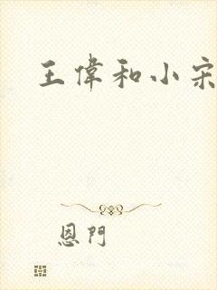 王伟和小宋佳
