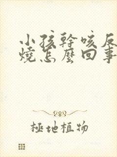 小孩干咳反复发烧怎么回事