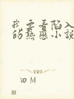 我要看陷入我们的热恋小说