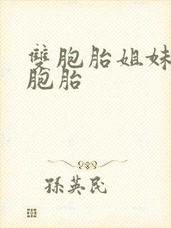 双胞胎姐妹生双胞胎