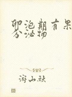 卵泡期有果冻状分泌物