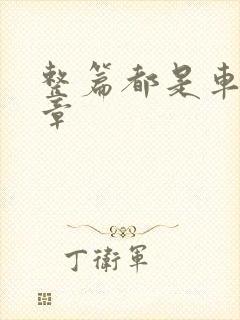 整篇都是车的文章