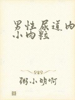 男性尿道内侧长小肉粒