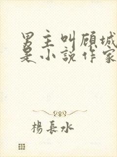 男主叫顾城女主是小说作家的小说封面