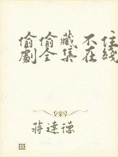 偷偷藏不住电视剧全集在线观看免费