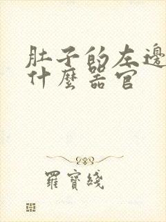 肚子的左边疼是什么器官