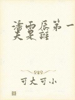 潘雨辰第一任丈夫是谁