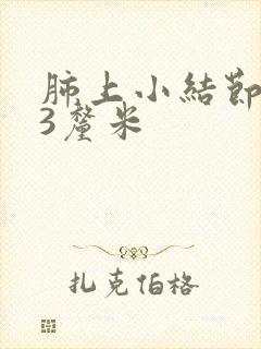 肺上小结节0.3厘米