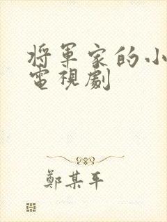 将军家的小娘子电视剧封面