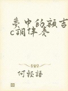 梦中的额吉伴奏c调伴奏